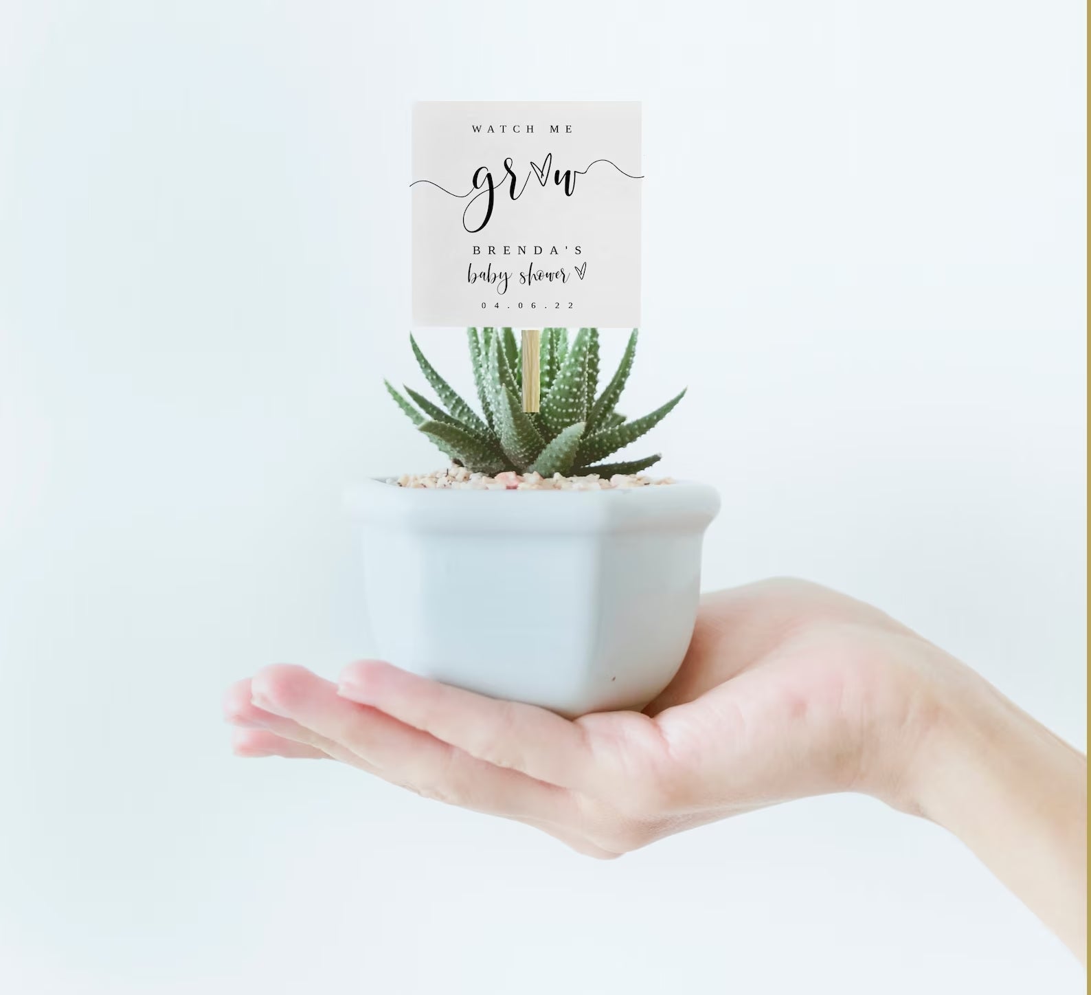 Watch Me Grow Succulent Tags Template